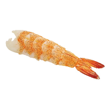 Sashimi Ebi
