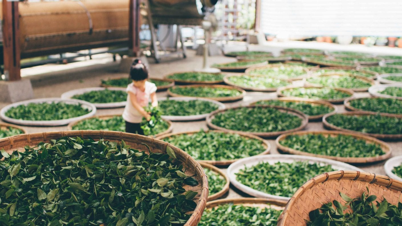 When the History of Tea Forges the Customs of a Country | Sushi Shop