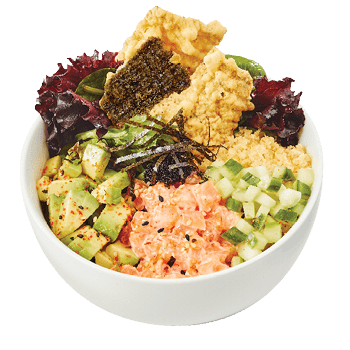 Bols Poke Miso Saumon