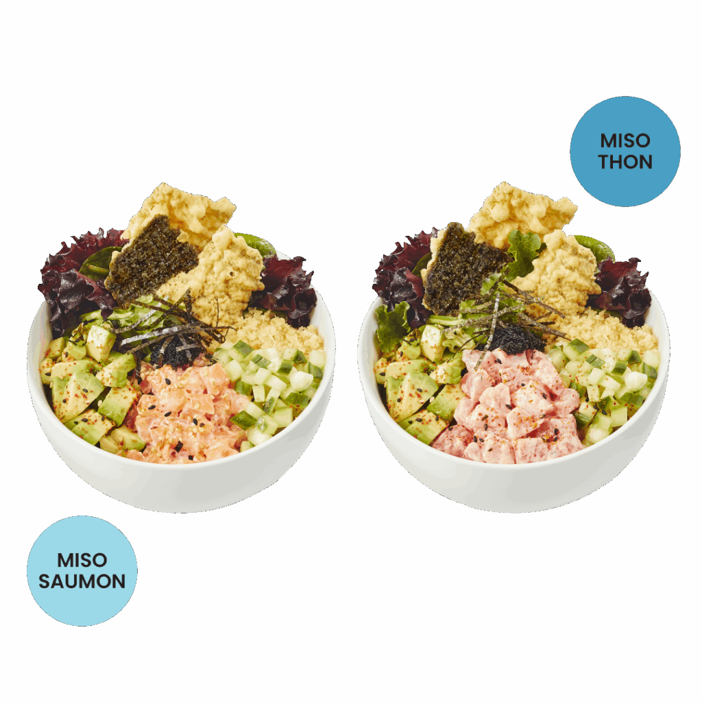 Miso Thon Mison Saumon