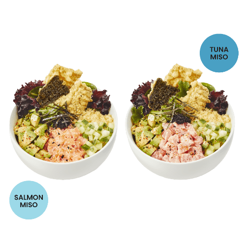 Tuna Miso Salmon Miso